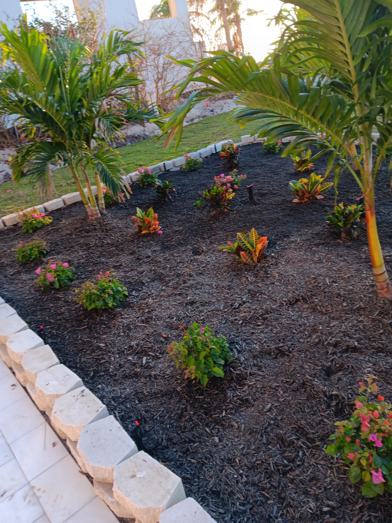 Large landscaped bed with crotons, bougainvillea and stone boulevard edging