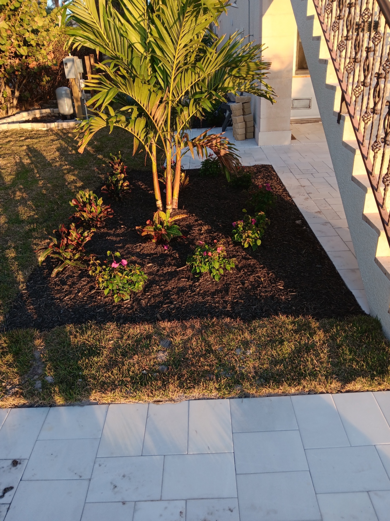 Side yard bed we planted with palms and color, edged against the paver patio
