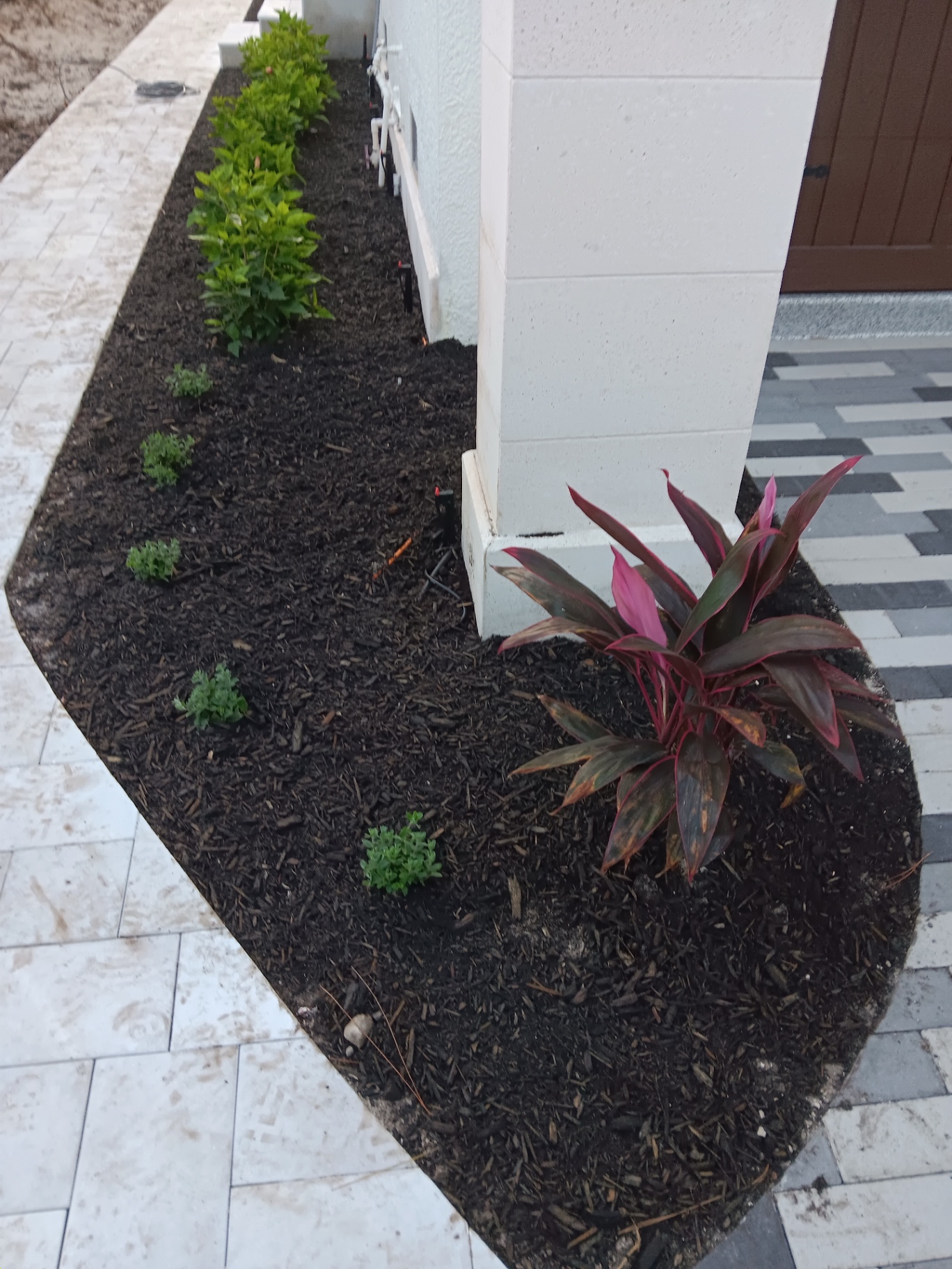 Landscaping we completed: curved mulch bed with new shrubs along a paver walkway